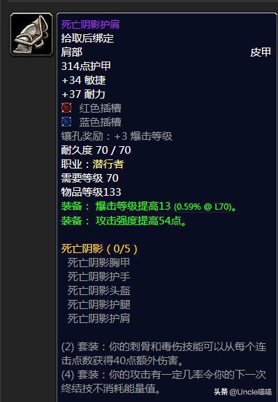 怎么选    冷漠者的护肩      死亡阴影护肩系盗贼t5职业套装肩部装备