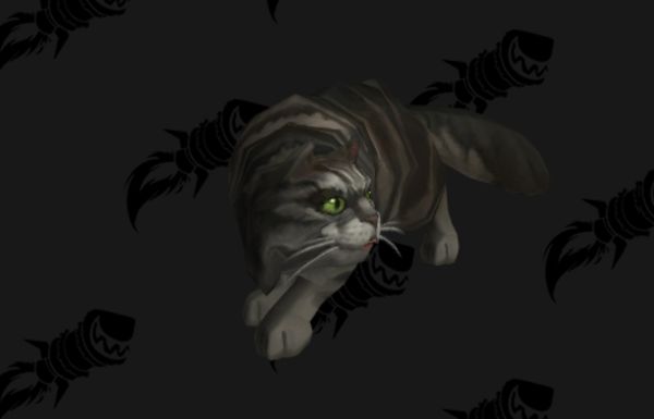 《魔獸世界》8.2.5版本加入解密貓咪戰鬥寵物