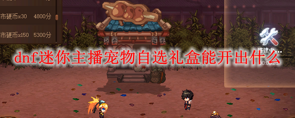dnf迷你主播宠物自选礼盒能开出什么