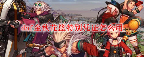 dnf金秋花篮特别凭证怎么用
