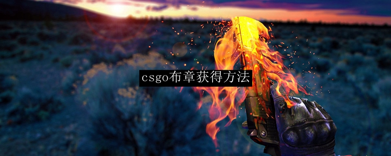 Csgo布章获得方法 Csgo布章获得方法 3dm网游