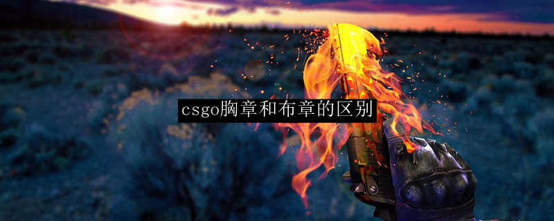 Csgo胸章和布章的区别 Csgo胸章和布章的区别是什么 3dm网游